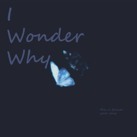 I Wonder Why | Boomplay Music