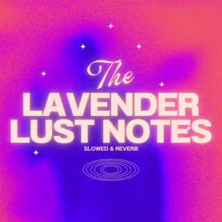 Layla (Slowed + Reverb) lyrics | Boomplay Music