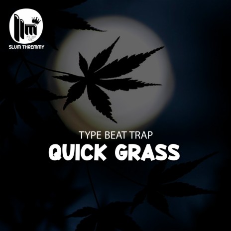 Type Beat Trap ''Quick Grass'' | Boomplay Music