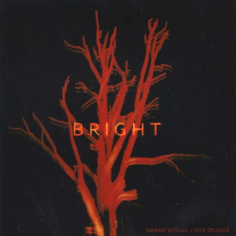 Bright ft. Julie Delsalle | Boomplay Music