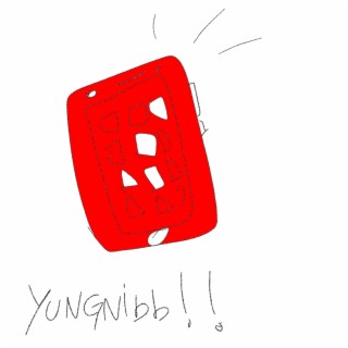 yungnibb