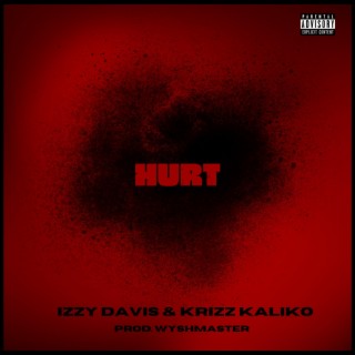 Hurt ft. Krizz Kaliko lyrics | Boomplay Music