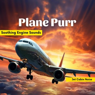 Plane Purr: Soothing Engine Sounds