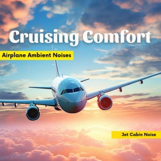 Cruising Comfort: Airplane Ambient Noises