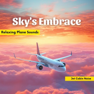 Sky's Embrace: Relaxing Plane Sounds