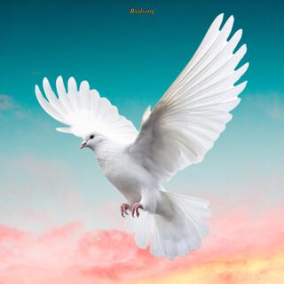 Birdsong lyrics | Boomplay Music