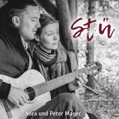 Frieden ft. Peter Mayer & Peter Mayer Hofkapelle