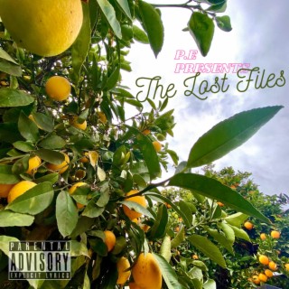 The Lost Files Vol. I