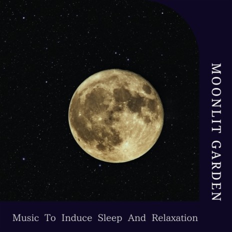 Sleep Collaboration | Boomplay Music