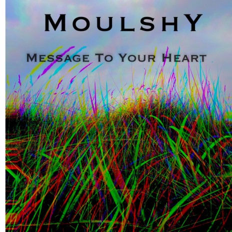 Message To Your Heart | Boomplay Music