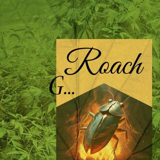 Roach