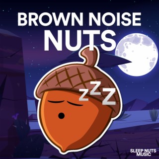 Download Brown Noise Nuts album songs: Brown Noise: 640 Hz | Boomplay Music