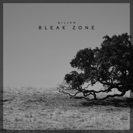 Bleak Zone | Boomplay Music