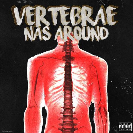 Vertebrae | Boomplay Music