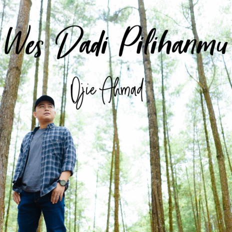 Wes Dadi Pilihanmu | Boomplay Music