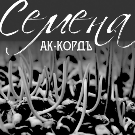 Семена | Boomplay Music