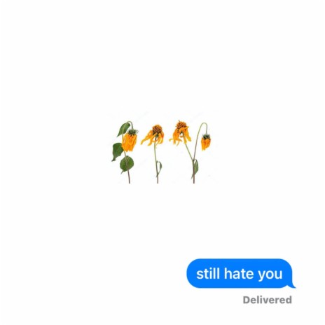 Still Hate You | Boomplay Music