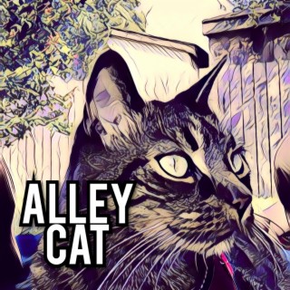 Alley Cat