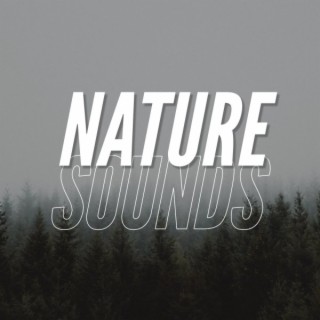 Nature Sounds