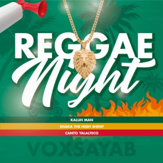 Reggae Night