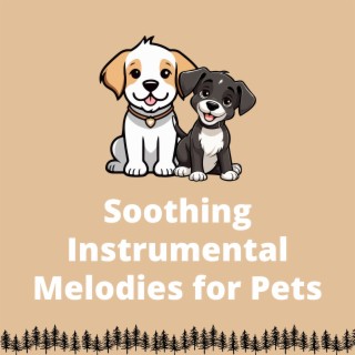 Soothing Instrumental Melodies for Pets: Peaceful Therapeutic Music to Relax Your Dog