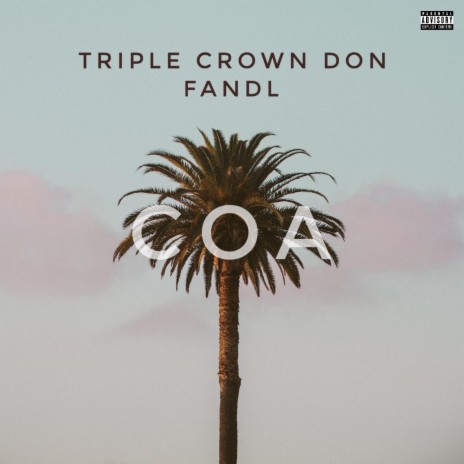 COA ft. FANDL | Boomplay Music