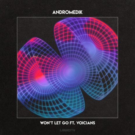 Won't Let Go ft. Voicians | Boomplay Music