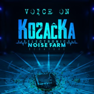 VOICE ON