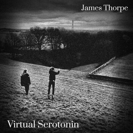 Virtual Serotonin | Boomplay Music