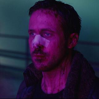 2049