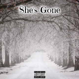 She's Gone ft. Clev's & Jimmy D lyrics | Boomplay Music