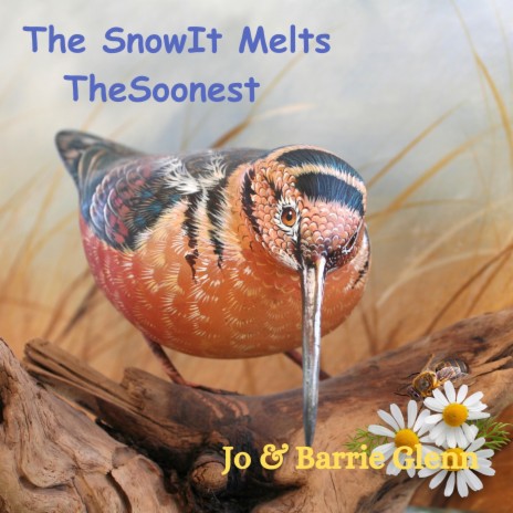 The Snow It Melts The Soonest | Boomplay Music