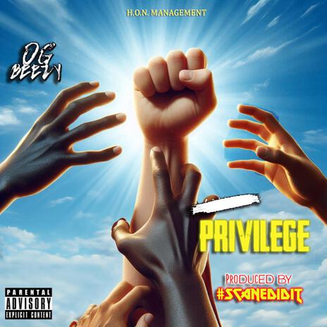 White Privilege | Boomplay Music