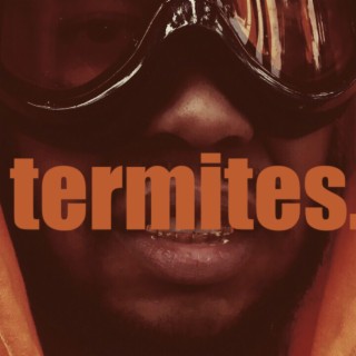 Termites