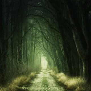 The narrow road