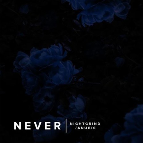 Never (feat. Anubis-XIII) | Boomplay Music