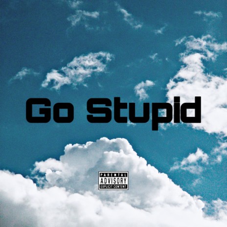GO STUPID ! | Boomplay Music