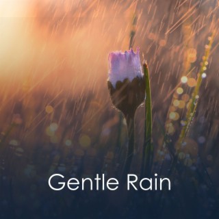 Gentle Rain