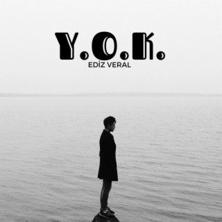 Y.O.K. lyrics | Boomplay Music