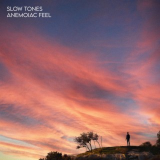 Slow Tones