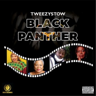 STOW-Black Panther