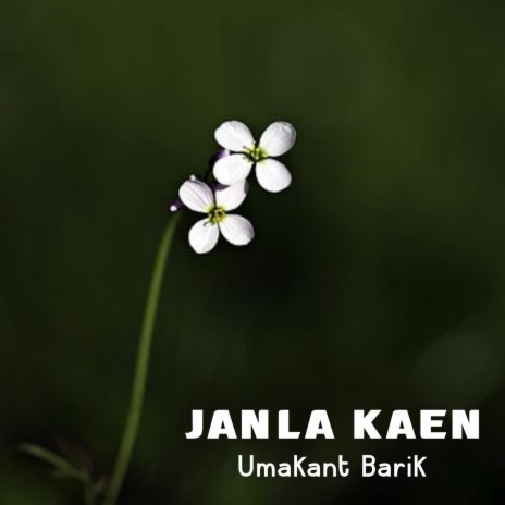 Janla Kaen