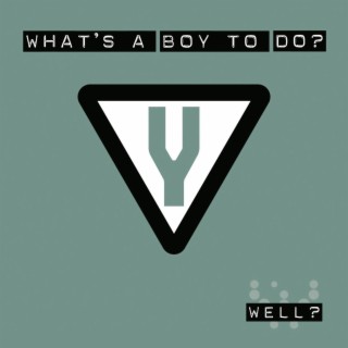 What's a Boy to Do?