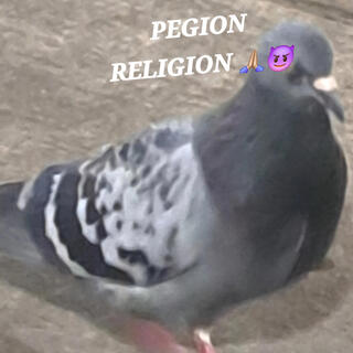 PIGEON RELIGION