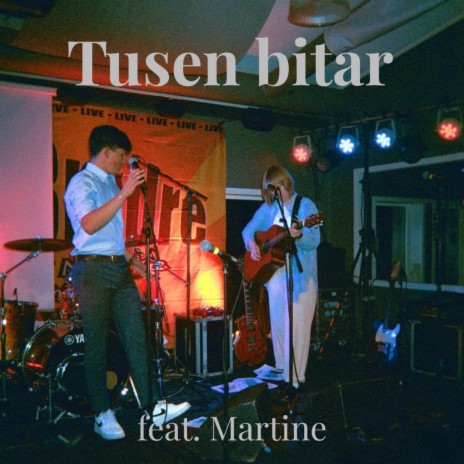 Tusen bitar (Akustisk gitar) | Boomplay Music