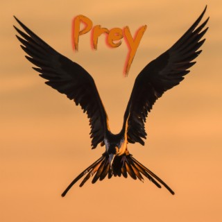 Prey