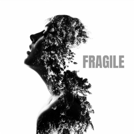 Fragile (Violin and Piano)