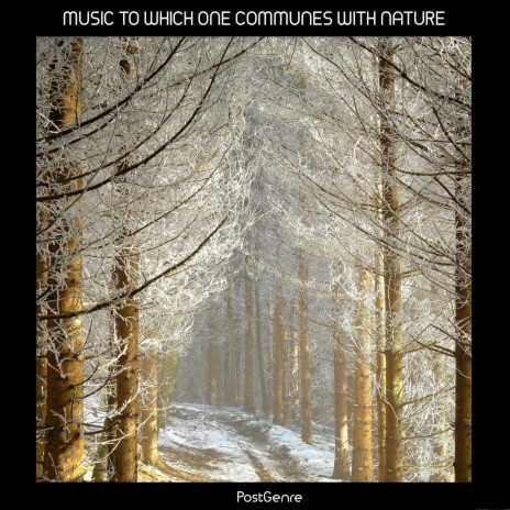 Music to Which One Communes with Nature