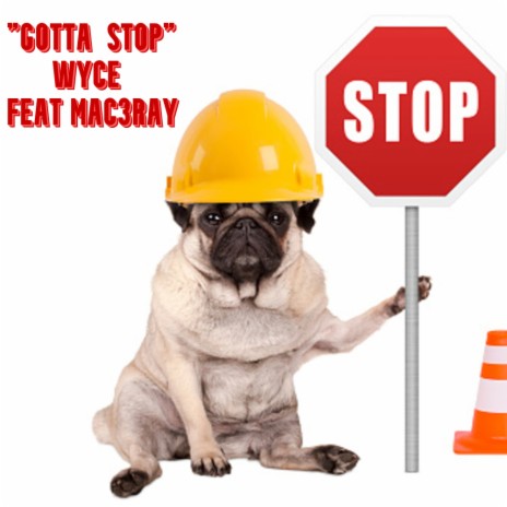 GOTTA STOP ft. Mac3ray