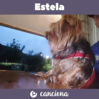 Estela